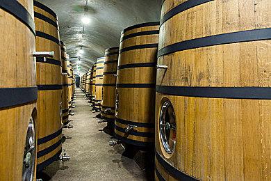 《战地》新作的单人战役或是女主角 招募信息曝光